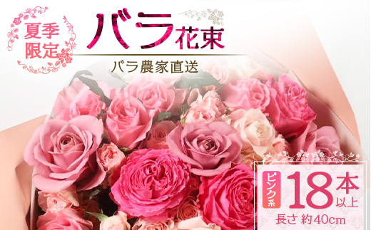 【先行予約・夏季限定 薔薇】ばら農家直送！バラ花束18本以上お届け(ピンク系)【ギフト対応可】TB-2│ローズ 新鮮 花 フラワー 花束 ばら 薔薇 バラ 誕生日 記念日 結婚祝い ギフト プレゼント お祝い 贈り物 贈答 鹿児島県 南大隅町 富田バラ園