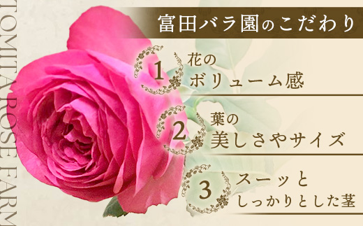 【先行予約・夏季限定 薔薇】ばら農家直送！バラ花束18本以上お届け(ピンク系)【ギフト対応可】TB-2│ローズ 新鮮 花 フラワー 花束 ばら 薔薇 バラ 誕生日 記念日 結婚祝い ギフト プレゼント お祝い 贈り物 贈答 鹿児島県 南大隅町 富田バラ園