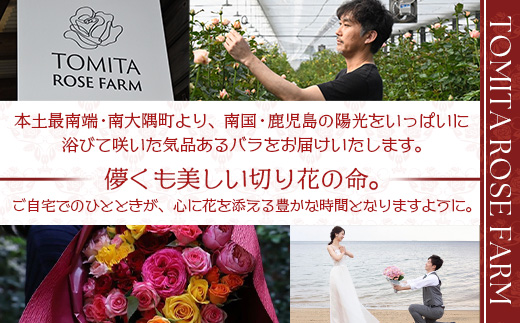 【先行予約・夏季限定 薔薇】ばら農家直送！バラ花束18本以上お届け(ピンク系)【ギフト対応可】TB-2│ローズ 新鮮 花 フラワー 花束 ばら 薔薇 バラ 誕生日 記念日 結婚祝い ギフト プレゼント お祝い 贈り物 贈答 鹿児島県 南大隅町 富田バラ園