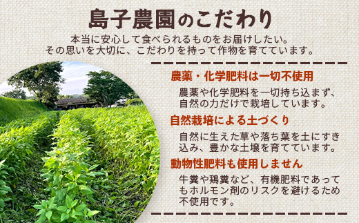 ãå®æäŸ¿ïŒã«æãèèã³ãŒã㌠ãµïœãçœè²èèïŒ4gÃ12PïŒSK-9ïœ ã³ãŒã㌠èè ãã£ãŒãã㯠ãã³ã«ãã§ã€ã³ éèè¶ ãããã ãè¶ çç
ã®ãã ã°ã«ã¡ ãåãå¯ã 鹿å
å³¶ç å倧é
çº å³¶å蟲å