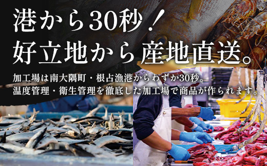 鹿児島県産 アマダイ 干物 (中サイズ1枚入り) ≪合計1枚≫［25センチ前後］PT-6 | 開き 大隅干し 冷凍 国産 鯛 甘鯛 ひもの 海鮮 新鮮 瞬間冷凍 産地直送 加工品 朝ご飯 おかず グルメ 鹿児島県 南大隅町 ピットスリー