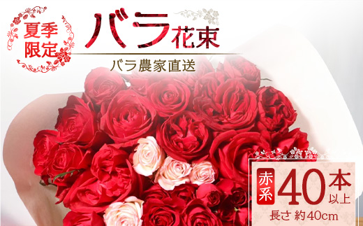 【先行予約・夏季限定 薔薇】ばら農家直送！バラ花束40本以上お届け(赤系) 【ギフト対応可】TB-5│ローズ 新鮮 花 フラワー 花束 ばら 薔薇 バラ 誕生日 記念日 結婚祝い ギフト プレゼント お祝い 贈り物 贈答 鹿児島県 南大隅町 富田バラ園