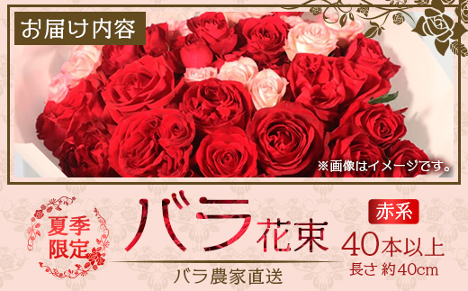 【先行予約・夏季限定 薔薇】ばら農家直送！バラ花束40本以上お届け(赤系) 【ギフト対応可】TB-5│ローズ 新鮮 花 フラワー 花束 ばら 薔薇 バラ 誕生日 記念日 結婚祝い ギフト プレゼント お祝い 贈り物 贈答 鹿児島県 南大隅町 富田バラ園