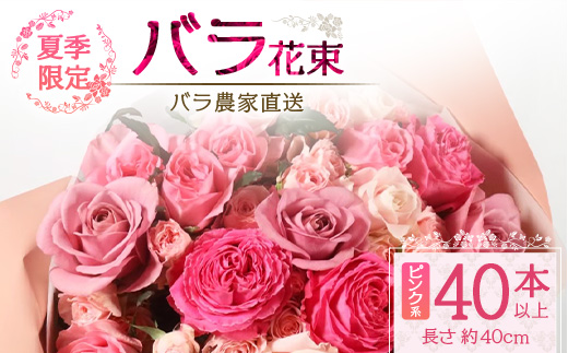 【先行予約・夏季限定 薔薇】ばら農家直送！バラ花束40本以上お届け(ピンク系) 【ギフト対応可】TB-6│ローズ 新鮮 花 フラワー 花束 ばら 薔薇 バラ 誕生日 記念日 結婚祝い ギフト プレゼント お祝い 贈り物 贈答 鹿児島県 南大隅町 富田バラ園