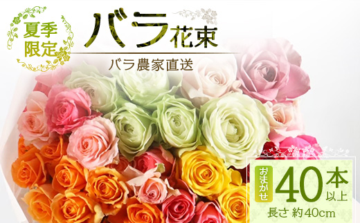 【先行予約・夏季限定 薔薇】ばら農家直送！バラ花束40本以上お届け(色はおまかせ) 【ギフト対応可】TB-8│ローズ 新鮮 花 フラワー 花束 ばら 薔薇 バラ 誕生日 記念日 結婚祝い ギフト プレゼント お祝い 贈り物 贈答 鹿児島県 南大隅町 富田バラ園