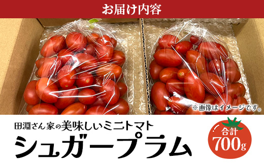 ãæééå®ãç°æ·µããã¡ã®çŸå³ãã ããããã ã·ã¥ã¬ãŒãã©ã ïŒçŽ700gïŒGP-1ïœé¹¿å
å³¶ç å倧é
ç£å°çŽé æ¬ ãšãŸãš ããã ããããã ãªã³ãã³ å®ç çã é«ç³åºŠ éè ããã éæç¡æ