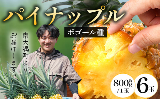 【先行受付】パイナップル/ボゴール種 (約800g×6玉) ≪2026年7月下旬以降順次発送≫ DS-1 ｜パイン パイナップル パインアップル フルーツ ボゴールパイン スナックパイン 産地直送 送料無料 鹿児島県 南大隅町 株式会社デラセーラ