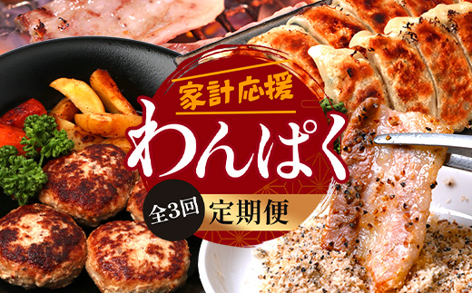 【定期便全3回】ひかり麦豚 わんぱく定期便 ≪月替わりで焼肉・ハンバーグ・餃子をお届け！≫ 冷凍 HM-10 | 肉 お肉 にく 豚肉 焼き肉 ロース肉 肩ロース バラ肉 ハンバーグ ギョウザ ぎょうざ 真空冷凍 産地直送 小分け パック 手作り 鹿児島県 南大隅町 ひかり麦豚直売所