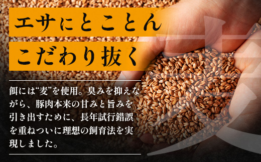 ãå®æäŸ¿å
š3åãã²ããéºŠè± ããã±ãå®æäŸ¿ âªææ¿ããã§çŒèã»ãã³ããŒã°ã»é€åããå±ãïŒâ« å·å HM-10 | è ãè ã«ã è±è çŒãè ããŒã¹è è©ããŒã¹ ãã©è ãã³ããŒã° ã®ã§ãŠã¶ ãããã ç空å·å ç£å°çŽé å°åã ãã㯠æäœã 鹿å
å³¶ç å倧é
çº ã²ãã麊è±çŽå£²æ