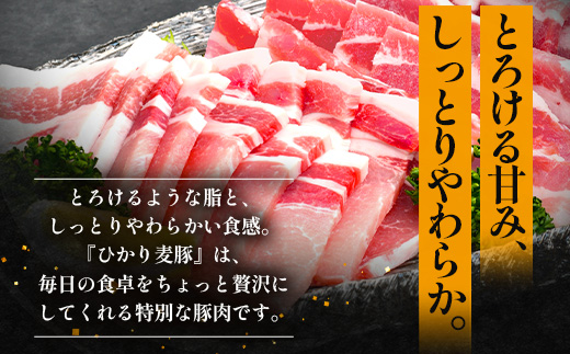 【定期便全3回】ひかり麦豚 プレミアム定期便 ≪月替わりでしゃぶしゃぶ・焼肉・ハンバーグをお届け！≫ 冷凍 HM-11 | 精肉 お惣菜 肉 お肉 にく 豚肉 焼き肉 バーベキュー ロース肉 肩ロース バラ肉  真空冷凍 産地直送 小分け パック 手作り 鹿児島県 南大隅町 ひかり麦豚直売所