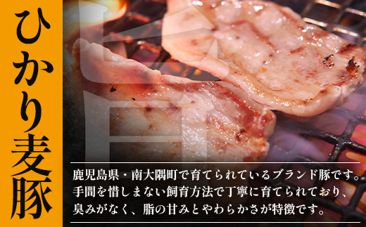 【定期便全3回】ひかり麦豚 プレミアム定期便 ≪月替わりでしゃぶしゃぶ・焼肉・ハンバーグをお届け！≫ 冷凍 HM-11 | 精肉 お惣菜 肉 お肉 にく 豚肉 焼き肉 バーベキュー ロース肉 肩ロース バラ肉  真空冷凍 産地直送 小分け パック 手作り 鹿児島県 南大隅町 ひかり麦豚直売所