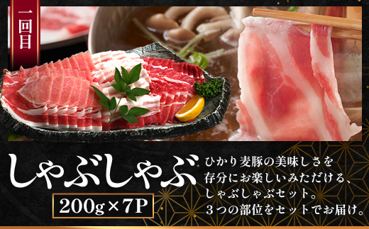 【定期便全3回】ひかり麦豚 プレミアム定期便 ≪月替わりでしゃぶしゃぶ・焼肉・ハンバーグをお届け！≫ 冷凍 HM-11 | 精肉 お惣菜 肉 お肉 にく 豚肉 焼き肉 バーベキュー ロース肉 肩ロース バラ肉  真空冷凍 産地直送 小分け パック 手作り 鹿児島県 南大隅町 ひかり麦豚直売所