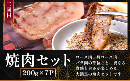 【定期便全3回】ひかり麦豚 プレミアム定期便 ≪月替わりでしゃぶしゃぶ・焼肉・ハンバーグをお届け！≫ 冷凍 HM-11 | 精肉 お惣菜 肉 お肉 にく 豚肉 焼き肉 バーベキュー ロース肉 肩ロース バラ肉  真空冷凍 産地直送 小分け パック 手作り 鹿児島県 南大隅町 ひかり麦豚直売所