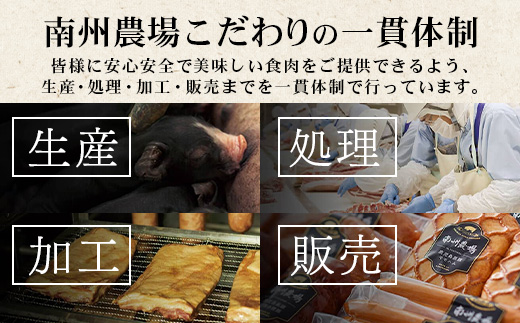 鹿児島県産 黒豚バラエティ詰合せAセット (黒豚ロース味噌漬け・黒豚生姜焼き用・黒豚生ハンバーグ) NS-16 ❘★☆＼＼黒豚ロース味噌漬け バナナマンの早起きせっかくグルメで紹介！！／／☆★ 肉 お肉 豚肉 豚 かごしま黒豚 ロース肉 味付け肉 みそ漬け しょうが焼き ハンバーグ 焼くだけ 鹿児島県 南大隅町 南州農場