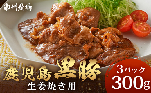 鹿児島県産 黒豚生姜焼きセット（100g×3パック）味付き肉 冷凍 NS-21 | 鹿児島 黒豚 かごしま黒豚 お肉 肉 豚肉 しょうが焼き 焼くだけ 味付き おかず お弁当 加工肉 真空パック 鹿児島県 南大隅町 南州農場