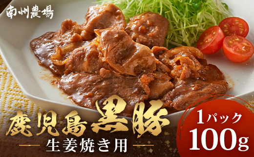 鹿児島県産 黒豚生姜焼き（100g×1パック） 味付き肉 冷凍 NS-20 | 鹿児島 黒豚 かごしま黒豚 お味見 お試し お一人様用 お肉 肉 豚肉 しょうが焼き 焼くだけ 味付き おかず お弁当 加工肉 真空パック 鹿児島県 南大隅町 南州農場