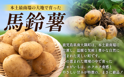 【先行予約】じゃがいも 馬鈴薯 (バレイショ) ≪2L～L≫ 約10kg×1箱 /ニシユタカ (約30個) ≪ 2026年3月20日頃より順次発送≫ CS-1｜産地直送 旬 ジャガイモ 芋 ポテト ばれいしょ 新じゃが 春じゃが 春作 鹿児島県 南大隅町 地域商社推進機構