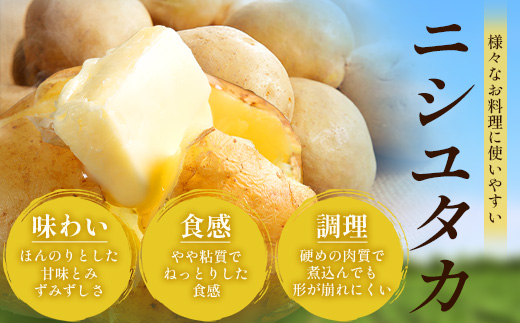【先行予約】じゃがいも 馬鈴薯 (バレイショ) ≪2L～L≫ 約10kg×1箱 /ニシユタカ (約30個) ≪ 2026年3月20日頃より順次発送≫ CS-1｜産地直送 旬 ジャガイモ 芋 ポテト ばれいしょ 新じゃが 春じゃが 春作 鹿児島県 南大隅町 地域商社推進機構