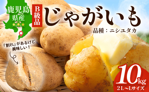【先行予約】【B級品】(割れ) じゃがいも 馬鈴薯 (バレイショ) ≪2L～L≫ 約10kg×1箱 /ニシユタカ (約30個) ≪2026年3月20日頃より順次発送≫ CS-2 |  家庭用 南大隅町産 産地直送 旬 ポテト ジャガイモ ばれいしょ 新じゃが 春じゃが 春作 国産 鹿児島県 南大隅町 地域商社推進機構