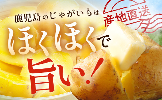 【先行予約】【B級品】(割れ) じゃがいも 馬鈴薯 (バレイショ) ≪2L～L≫ 約10kg×1箱 /ニシユタカ (約30個) ≪2026年3月20日頃より順次発送≫ CS-2 |  家庭用 南大隅町産 産地直送 旬 ポテト ジャガイモ ばれいしょ 新じゃが 春じゃが 春作 国産 鹿児島県 南大隅町 地域商社推進機構