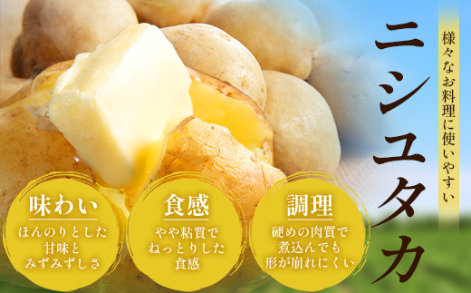 【先行予約】【B級品】(割れ) じゃがいも 馬鈴薯 (バレイショ) ≪2L～L≫ 約10kg×1箱 /ニシユタカ (約30個) ≪2026年3月20日頃より順次発送≫ CS-2 |  家庭用 南大隅町産 産地直送 旬 ポテト ジャガイモ ばれいしょ 新じゃが 春じゃが 春作 国産 鹿児島県 南大隅町 地域商社推進機構