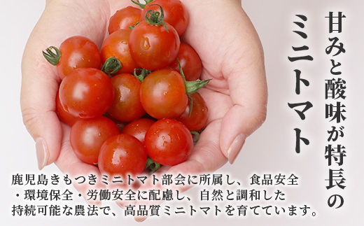 [数量限定]ミニトマト２種食べ比べセット(350g×２種) GP-3｜ミニトマト 野菜 やさい 食品 人気 おすすめ 美味しい 産地直送 小鈴 シュガープラム 食べ比べ セット