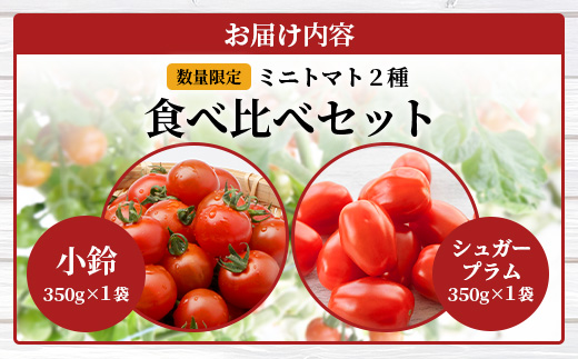 [数量限定]ミニトマト２種食べ比べセット(350g×２種) GP-3｜ミニトマト 野菜 やさい 食品 人気 おすすめ 美味しい 産地直送 小鈴 シュガープラム 食べ比べ セット