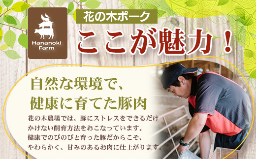 《全3回定期便》<2ヶ月に１回お届け> 花の木農場【ハム詰め合わせセット】7種 計1,000g HK-18│定期便 ハム ベーコン クラフトハム 人気 南大隅町 第2花の木ファーム ノウフク ソーセージ 詰め合わせ セット ウインナー 国産 厳選
