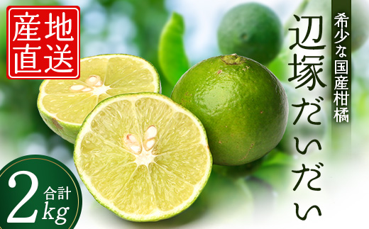 辺塚だいだい 約2kg NK-1｜果物 柑橘 辺塚だいだい へつか 産地直送 詰め合わせ 2kg 国産 新鮮 おすすめ 人気 南大隅町