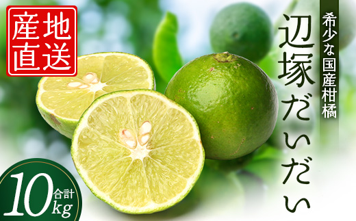 辺塚だいだい 約10kg NK-3｜果物 柑橘 辺塚だいだい へつか 産地直送 詰め合わせ 10kg 国産 新鮮 おすすめ 人気 南大隅町
