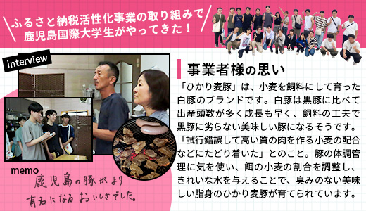 鹿å
å³¶çç£ ã²ããéºŠè± ããŒã¹äžæ§ã»ãã6çš®é¡ ïŒ200gÃ6ããã¯ïŒèš1.2kg ãã¬ãŒãªã å·å HM-12 | 粟è è ãè ã«ã è±è ããŒã¹è ããŒã¹ è©ããŒã¹ ç空å·å æ°é®® å°åã ç£å°çŽé 鹿å
å³¶ç å倧é
çº ã²ãã麊è±çŽå£²æ