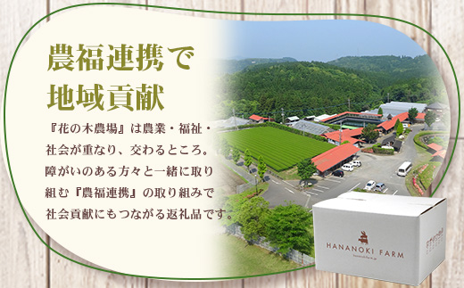 《全6回定期便》<2ヶ月に１回お届け> 花の木農場【ハム詰め合わせセット】7種 計1,000g HK-19│定期便 ハム ベーコン クラフトハム 人気 南大隅町 第2花の木ファーム ノウフク ソーセージ 詰め合わせ セット ウインナー 国産 厳選