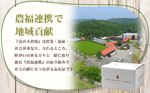 《全6回定期便》<2ヶ月に１回お届け> 花の木農場【豚しゃぶセット】3種 約900g HK-21│定期便 豚肉 しゃぶしゃぶ 豚しゃぶ スライス バラ ロース モモ 鍋 肉 国産 ノウフク 農福連携 鹿児島県 南大隅町 第2花の木ファーム