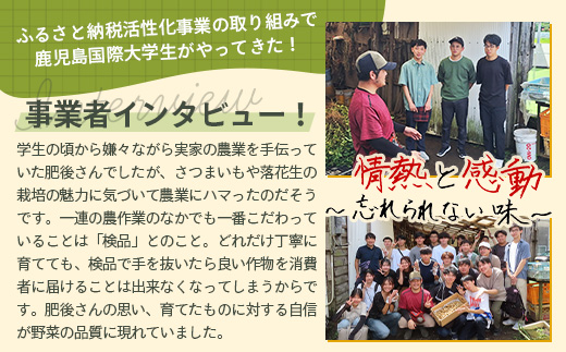 【先行予約 2026年9月下旬～順次発送】鹿児島県産 塩茹でジャンボ落花生（おおまさり） 300g×3パック 冷凍 FR-4 | 落花生 らっかせい ラッカセイ ピーナッツ 国産 最高級品種 おおまさり 大粒 おやつ おつまみ 鹿児島県 南大隅町 株式会社フォレスト