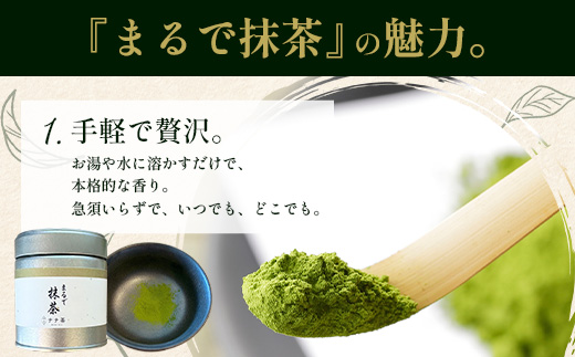 国産 ナナ茶 まるで抹茶 50g×1P 緑茶 粉末タイプ RS-6｜お茶 茶 日本茶 煎茶 ブレンド茶 お茶会 茶道 石臼挽き 鹿児島県 南大隅町 株式会社Re-Shine