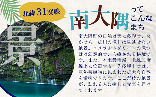 【返礼品なしの寄附】鹿児島県南大隅町 1口:50万円 MN-16│鹿児島県 南大隅町 寄付 寄附 応援 支援 応援寄付金 支援寄付金 寄付のみ 返礼品なし 返礼品なしの寄付 500,000円 