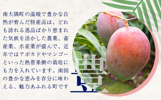 【返礼品なしの寄附】鹿児島県南大隅町 1口:50万円 MN-16│鹿児島県 南大隅町 寄付 寄附 応援 支援 応援寄付金 支援寄付金 寄付のみ 返礼品なし 返礼品なしの寄付 500,000円 