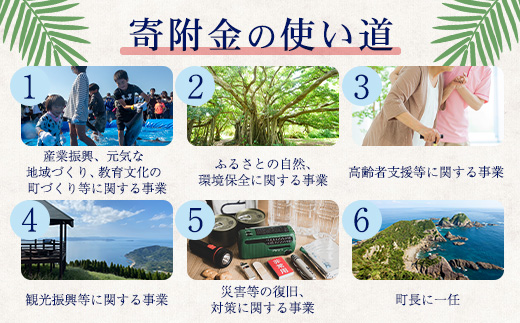 【返礼品なしの寄附】鹿児島県南大隅町 1口: 100万円 MN-17 │ 鹿児島県 南大隅町 寄付 寄附 応援 支援 応援寄付金 支援寄付金 寄付のみ 返礼品なし 返礼品なしの寄付 1,000,000円 