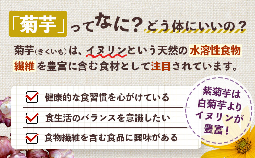 【福袋】紫菊芋たっぷり堪能３種セット SK-16-fb｜ コーヒー 菊芋 紫菊芋 コーヒー パウダー 菊芋せんべ ノンカフェイン 野菜茶 きくいも お茶 焙煎 ギフト グルメ 鹿児島県 南大隅町 島子農園 福袋