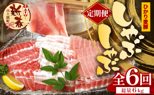 ［新春］【定期便全6回】鹿児島県産 ひかり麦豚 しゃぶしゃぶ 食べ比べセット 約1kg（200g×5パック） トレーなし 冷凍 HM-15 | 肉 お肉 にく 豚肉 ロース 肩ロース バラ肉 スライス 真空冷凍 産地直送 新鮮 小分け 甘み 産地直送 鹿児島県 南大隅町 ひかり麦豚直売所