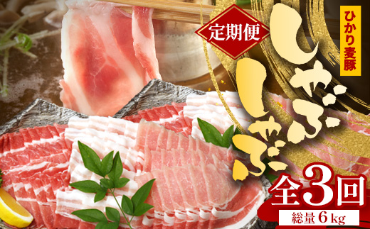 ［新春］【定期便全3回】鹿児島県産 ひかり麦豚 しゃぶしゃぶ 食べ比べセット 約2kg（200g×10パック） トレーなし 冷凍 HM-16 | 肉 お肉 にく 豚肉 ロース 肩ロース バラ肉 スライス 真空冷凍 産地直送 新鮮 小分け 甘み 産地直送 鹿児島県 南大隅町 ひかり麦豚直売所