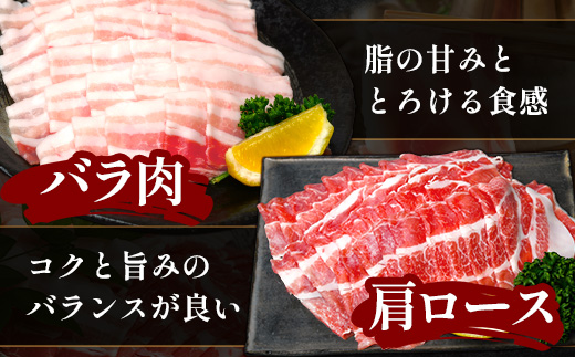 【定期便全3回】鹿児島県産 ひかり麦豚 しゃぶしゃぶ 食べ比べセット 約2kg（200g×10パック） トレーなし 冷凍 HM-16 | 肉 お肉 にく 豚肉 ロース 肩ロース バラ肉 スライス 真空冷凍 産地直送 新鮮 小分け 甘み 産地直送 鹿児島県 南大隅町 ひかり麦豚直売所