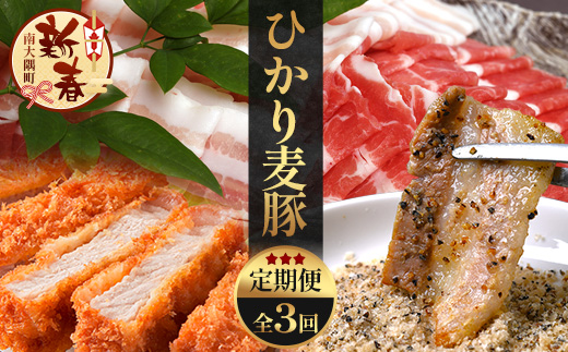 ［新春］【定期便全3回】ひかり麦豚定期便 ≪月替わりで楽しむ豚肉セット！しゃぶしゃぶ・ロース肉・焼肉セットをお届け！≫ 冷凍 HM-18 | 肉 お肉 にく 豚肉 精肉 焼き肉 焼肉 やきにく バーベキュー ロース肉 肩ロース バラ肉 生姜焼き とんかつ しゃぶしゃぶ 真空冷凍 産地直送 小分け パック 手作り 鹿児島県 南大隅町 ひかり麦豚直売所