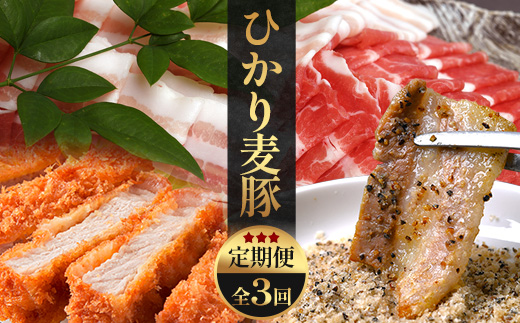 【定期便全3回】ひかり麦豚定期便 ≪月替わりで楽しむ豚肉セット！しゃぶしゃぶ・ロース肉・焼肉セットをお届け！≫ 冷凍 HM-18 | 肉 お肉 にく 豚肉 精肉 焼き肉 焼肉 やきにく バーベキュー ロース肉 肩ロース バラ肉 生姜焼き とんかつ しゃぶしゃぶ 真空冷凍 産地直送 小分け パック 手作り 鹿児島県 南大隅町 ひかり麦豚直売所