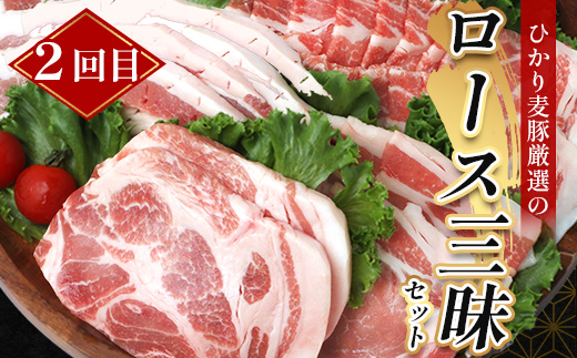 ［新春］【定期便全3回】ひかり麦豚定期便 ≪月替わりで楽しむ豚肉セット！しゃぶしゃぶ・ロース肉・焼肉セットをお届け！≫ 冷凍 HM-18 | 肉 お肉 にく 豚肉 精肉 焼き肉 焼肉 やきにく バーベキュー ロース肉 肩ロース バラ肉 生姜焼き とんかつ しゃぶしゃぶ 真空冷凍 産地直送 小分け パック 手作り 鹿児島県 南大隅町 ひかり麦豚直売所