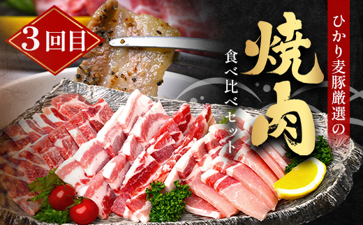 ［新春］【定期便全3回】ひかり麦豚定期便 ≪月替わりで楽しむ豚肉セット！しゃぶしゃぶ・ロース肉・焼肉セットをお届け！≫ 冷凍 HM-18 | 肉 お肉 にく 豚肉 精肉 焼き肉 焼肉 やきにく バーベキュー ロース肉 肩ロース バラ肉 生姜焼き とんかつ しゃぶしゃぶ 真空冷凍 産地直送 小分け パック 手作り 鹿児島県 南大隅町 ひかり麦豚直売所