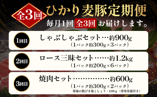 ［新春］【定期便全3回】ひかり麦豚定期便 ≪月替わりで楽しむ豚肉セット！しゃぶしゃぶ・ロース肉・焼肉セットをお届け！≫ 冷凍 HM-18 | 肉 お肉 にく 豚肉 精肉 焼き肉 焼肉 やきにく バーベキュー ロース肉 肩ロース バラ肉 生姜焼き とんかつ しゃぶしゃぶ 真空冷凍 産地直送 小分け パック 手作り 鹿児島県 南大隅町 ひかり麦豚直売所