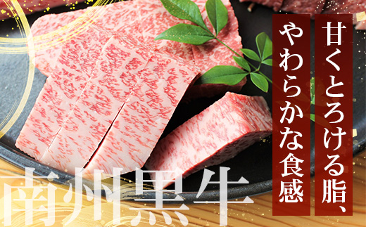 ［新春］≪全3回≫ 鹿児島県産 黒毛和牛 ◆ 贅沢 ステーキ 定期便 ◆ 南州黒牛 NS-27 ｜ 国産 牛 黒毛和牛 うし 牛肉 ロース サシ やわらかい 冷凍 ステーキ 肉定期便 定期便 鹿児島県 南大隅町 南州農場