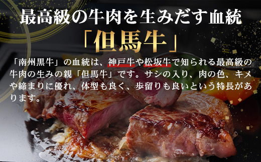［新春］≪全3回≫ 鹿児島県産 黒毛和牛 ◆ 贅沢 ステーキ 定期便 ◆ 南州黒牛 NS-27 ｜ 国産 牛 黒毛和牛 うし 牛肉 ロース サシ やわらかい 冷凍 ステーキ 肉定期便 定期便 鹿児島県 南大隅町 南州農場