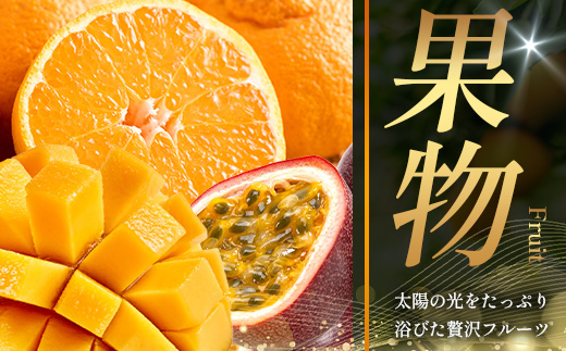 あとからセレクト【ふるさとギフト】50万円分 MN-23 │ 500000 鹿児島県 南大隅町 あとから選べる 返礼品 特産品 プラン 選べる返礼品 あとから選べる ギフト ギフトポイント 後から選ぶ カタログギフト